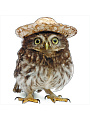 Наклейка "Сова в шляпке" 30х30 Наклейка "Сова в шляпке" 30х30