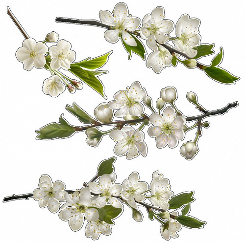 Наклейка Сакура 30х30 Наклейка Сакура 30х30 sakura